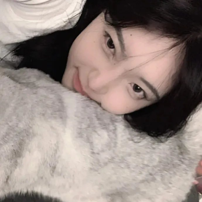 甄嬛爱不停